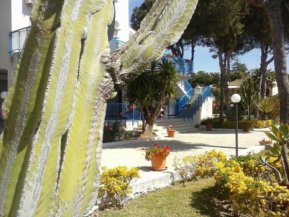 فونتاني بيانكي B&B Nido Colorato المظهر الخارجي الصورة